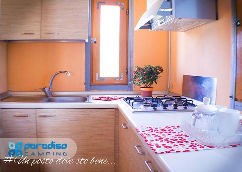 Cucina accogliente in campeggio con pianta e stoviglie.