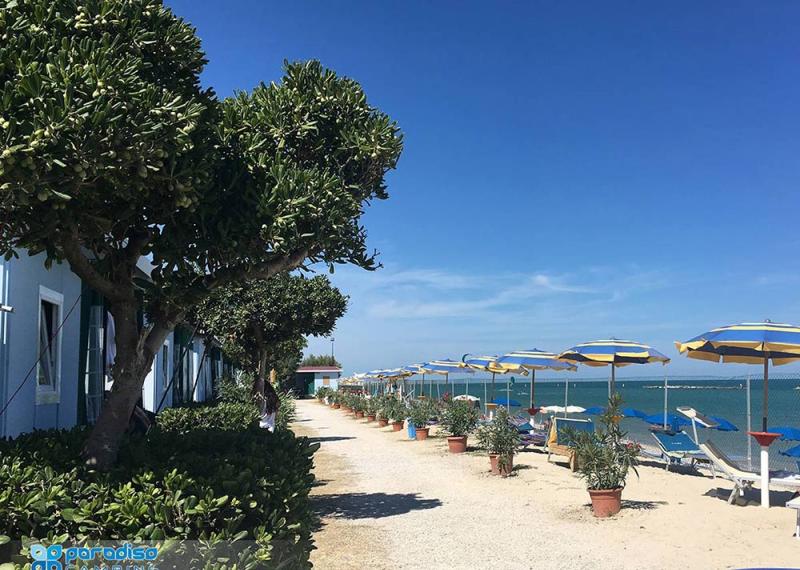 Spiaggia con ombrelloni gialli e blu, alberi e mare calmo.