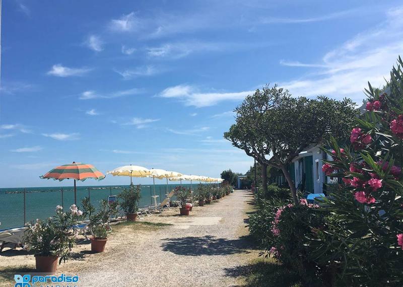Spiaggia tranquilla con ombrelloni, sdraio e sentiero alberato.