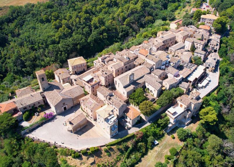 Borgo medievale circondato da foreste, con edifici in pietra e stradine strette.